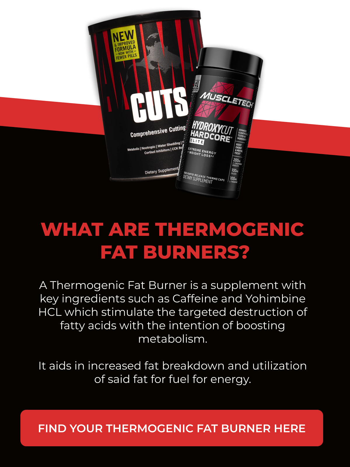 What Are Thermogenic Fat Burners?