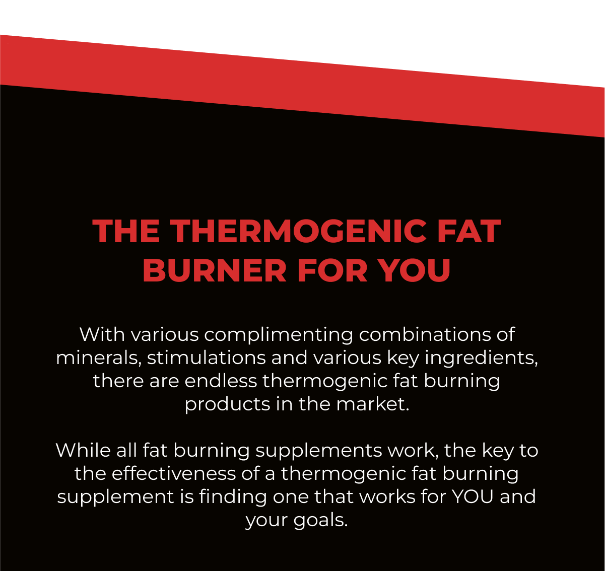 THE THERMOGENIC FAT BURNER FOR YOU
