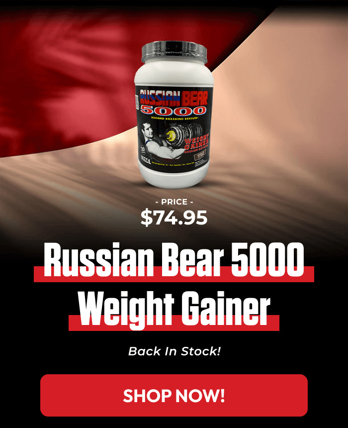 RUSSIAN BEAR 5000 WEIGHT GAINER